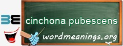 WordMeaning blackboard for cinchona pubescens